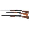 Image 2 : Two Shotguns and One Rifle