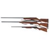 Image 2 : Three Shotguns