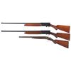 Image 2 : Three Shotguns