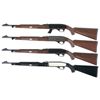 Image 2 : Four Remington Semi-Automatic Rifles