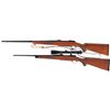 Image 2 : Two Ruger Bolt Action Rifles