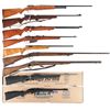 Image 1 : Nine Long Guns