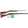 Image 1 : Two Sporting Long Guns
