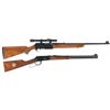 Image 1 : Two Sporting Rifles