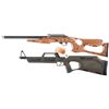 Image 2 : Two Boxed Semi-Automatic Rimfire Rifles