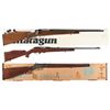 Image 1 : Three Sporting Rifles
