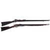 Image 1 : Two Rifles