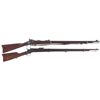 Image 1 : Two Rifles