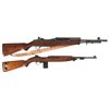 Image 1 : Two Semi-Automatic Longarms