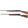 Image 2 : Two U.S. Shotguns