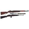Image 1 : Two Semi-Automatic Longarms