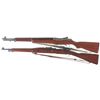 Image 2 : Two U.S. Rifles