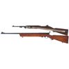 Image 2 : Two Long Guns