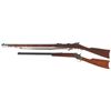 Image 2 : Two Rifles
