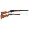 Image 1 : Two Rifles