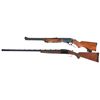 Image 2 : Two Long Guns