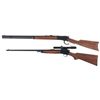 Image 2 : Two Boxed Winchester Long Guns