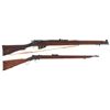 Image 1 : Two Rifles