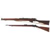 Image 2 : Two Rifles