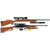 Image 1 : Two Scoped Rifles