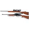 Image 2 : Two Scoped Rifles