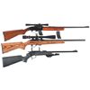 Image 1 : Three Long Guns