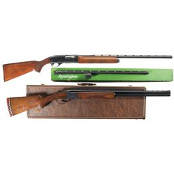 Two 20 Gauge Shotguns