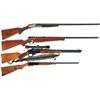 Image 1 : Four Sporting Long Guns