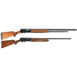 Two Semi-Automatic Shotguns
