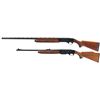 Image 2 : Two Remington Long Guns