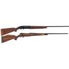 Image 1 : One Shotgun and One Rifle