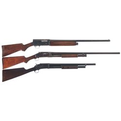Three Shotguns
