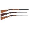 Image 1 : Three Sporting Long Guns