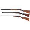 Image 2 : Three Sporting Long Guns