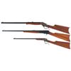 Image 2 : Three Rifles