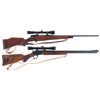 Image 1 : Two Rifles