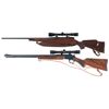 Image 2 : Two Rifles
