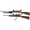 Image 2 : Two Long Guns
