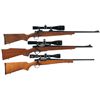 Image 1 : Three Scoped Bolt Action Rifles