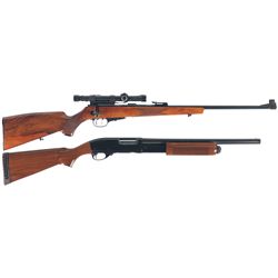 Two Long Guns