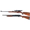 Image 2 : Two Long Guns