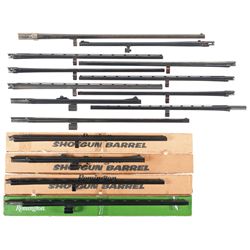 Fifteen Shotgun Barrels