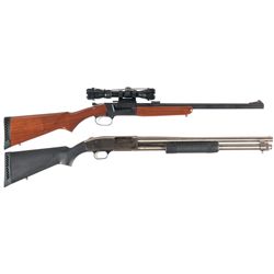 Two Shotguns