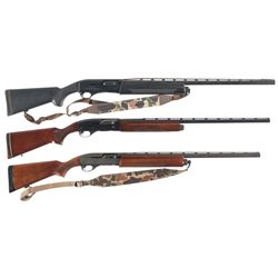 Three Semi-Automatic Shotguns