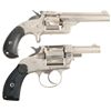 Image 2 : Two Revolvers