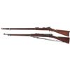 Image 2 : Two U.S. Rifles