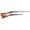 Image 1 : One Rifle and One Shotgun