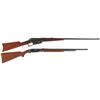 Image 1 : Two Rifles