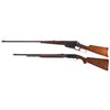 Image 2 : Two Rifles