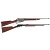 Image 1 : Two Winchester Rifles